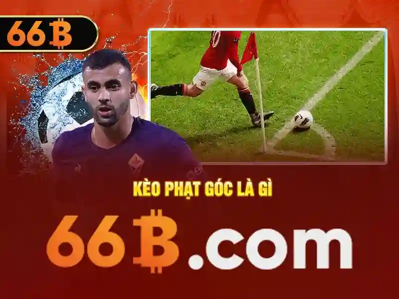 66b nguyễn sỹ sách p15 tân bình là gì – Tổng quan và ứng dụng